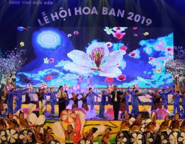hoaban2019.jpg