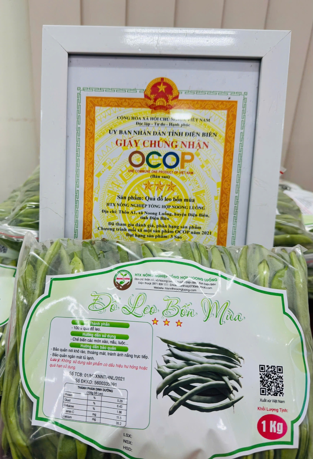 Đỗ leo bốn mùa