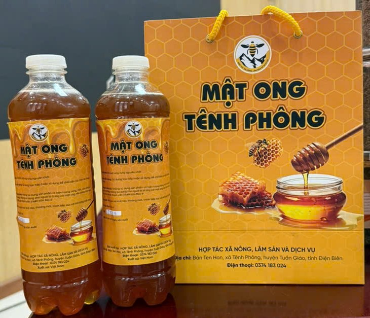 Mật ong Tênh Phông