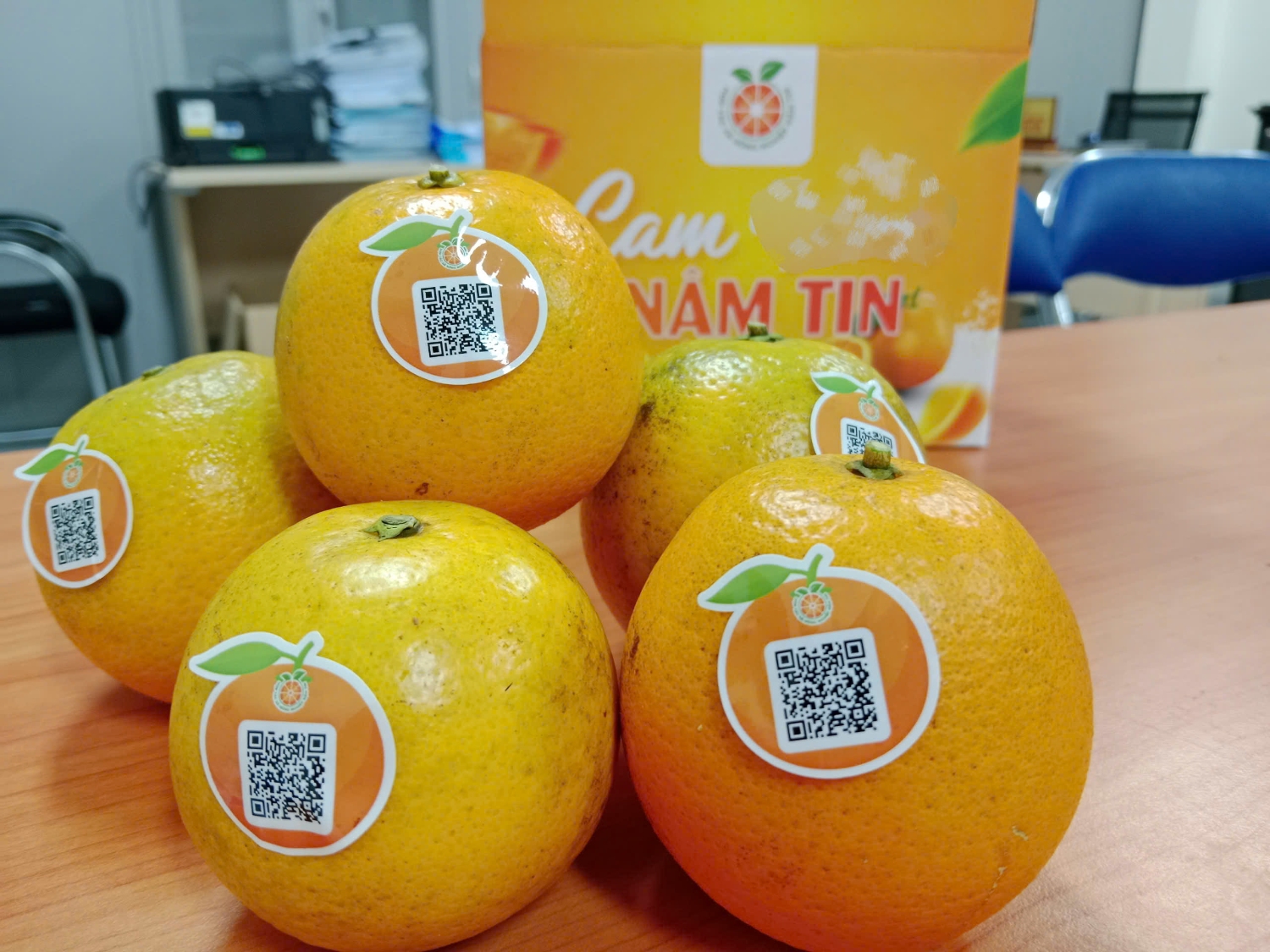 Cam Nậm Tin - Sản phẩm OCOP 3 sao